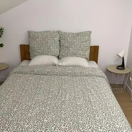 6奥利机场 卢浮宫 艾菲尔铁塔 巴黎圣母院