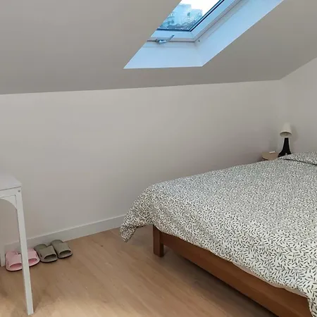 6奥利机场 卢浮宫 艾菲尔铁塔 巴黎圣母院