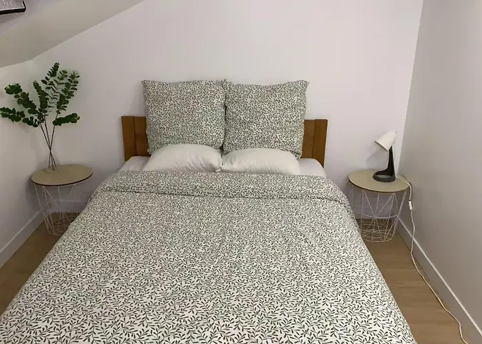 6奥利机场 卢浮宫 艾菲尔铁塔 巴黎圣母院